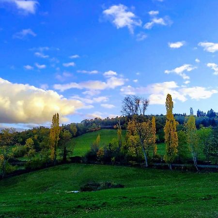 La Ferme Des Galoches Panzió Villemontais Kültér fotó