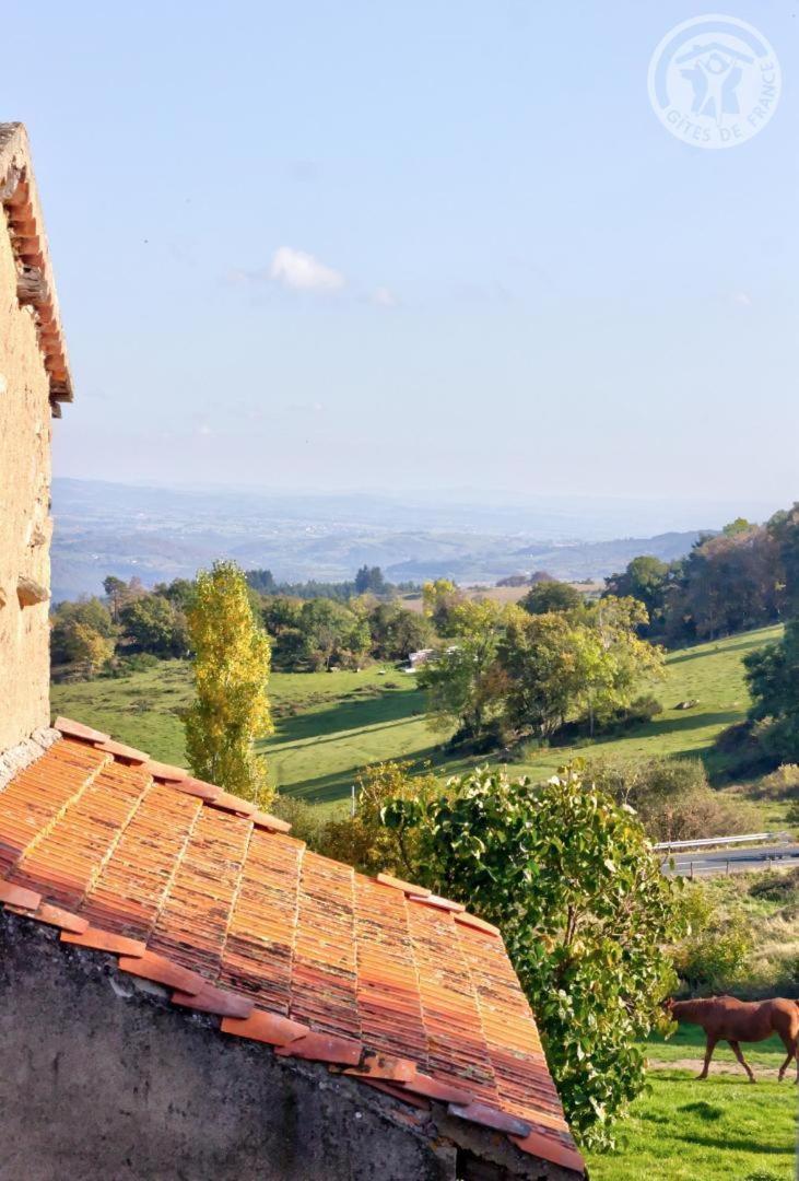 La Ferme Des Galoches Panzió Villemontais Kültér fotó